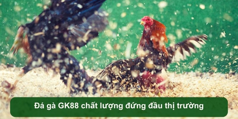 da-ga-gk88-chat-luong-dung-dau-thi-truong