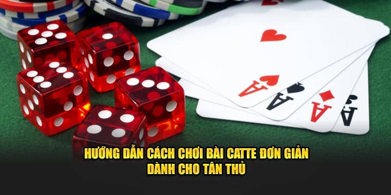 huong-dan-cach-choi-bai-catte-don-gian-danh-cho-tan-thu-